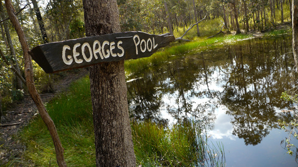 Georges Pool, Atherton Forest Mountain Bike Park