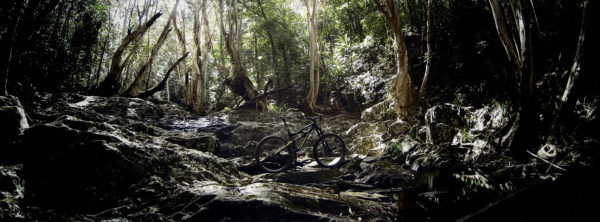 Read more about the article The Bump Track Port Douglas