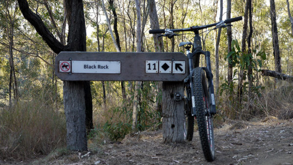 Read more about the article Mt Joyce MTB Trails