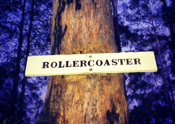 Read more about the article Jacks Ridge MTB Trail Nambucca Heads