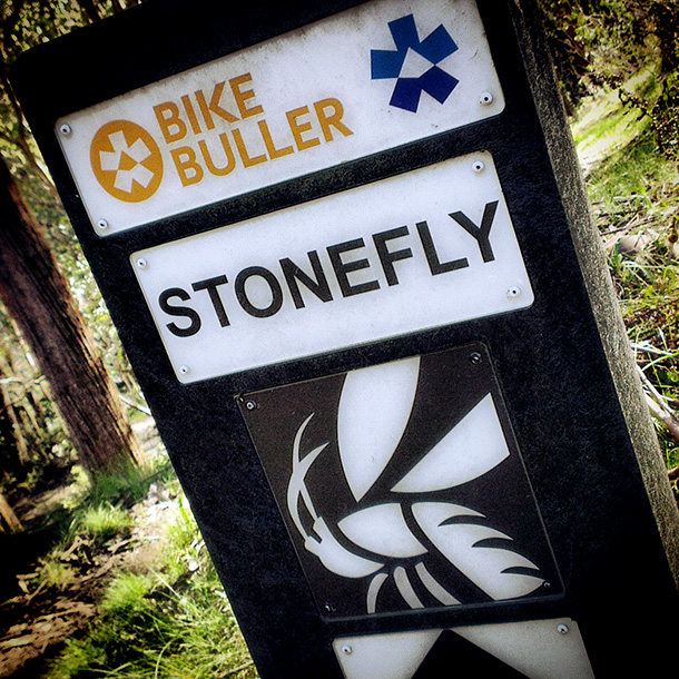 Stonefly, Buller Epic Begins