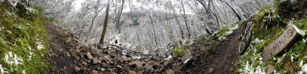Read more about the article Buller Wide