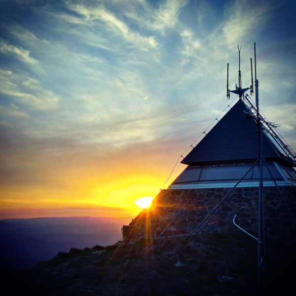 Read more about the article Buller Epic Begins