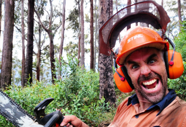 Read more about the article Chainsaws and Quad Bikes