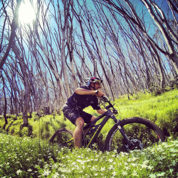 Read more about the article Total Fire Ban Rides