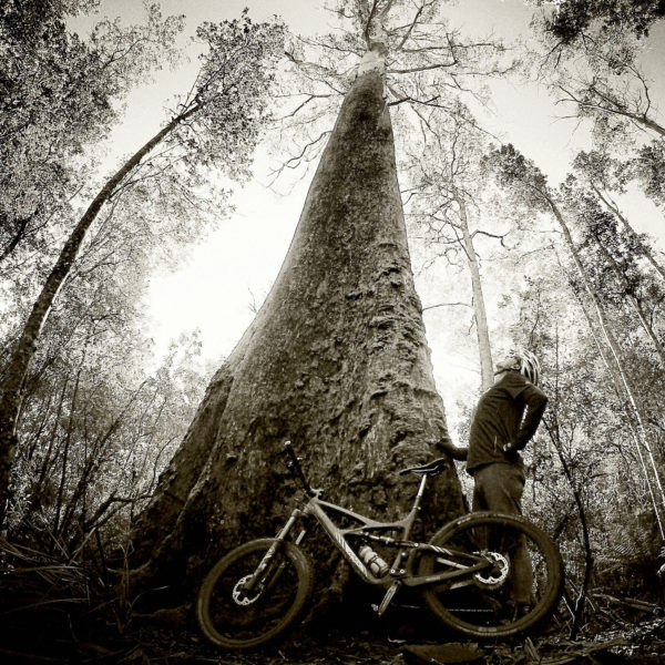 Read more about the article Chuck Rides Derby