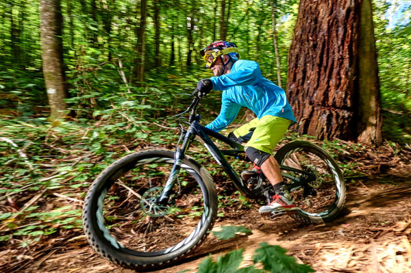 Into the woods, Ibis Mojo 3 Review