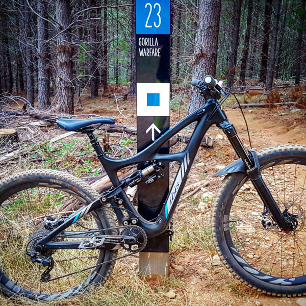 Read more about the article Mystic MTB Park Bright