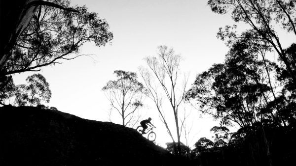 Read more about the article Lazy Sunday Arvo