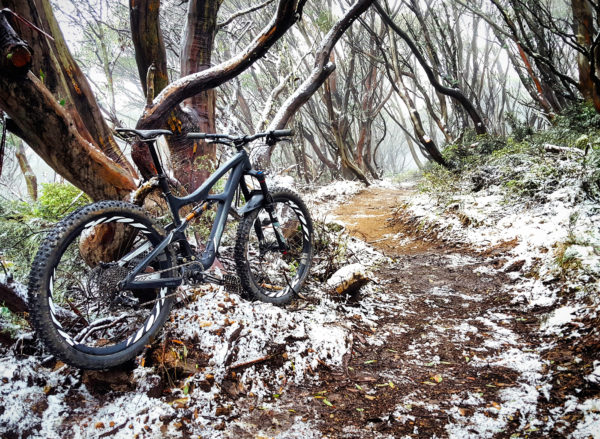 Read more about the article Wintry Dusting
