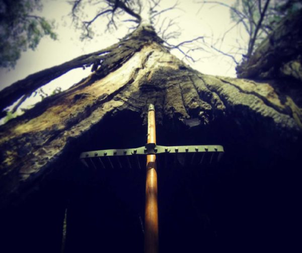 Read more about the article Rakey’s Tomb