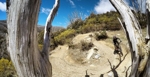 Read more about the article Sunny skies and hero dirt