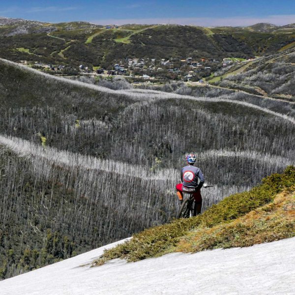 Read more about the article Backcountry is best