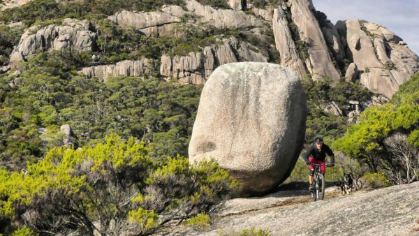 Read more about the article Mt Cameron