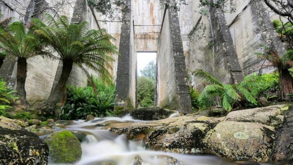 Read more about the article Mt Paris Dam