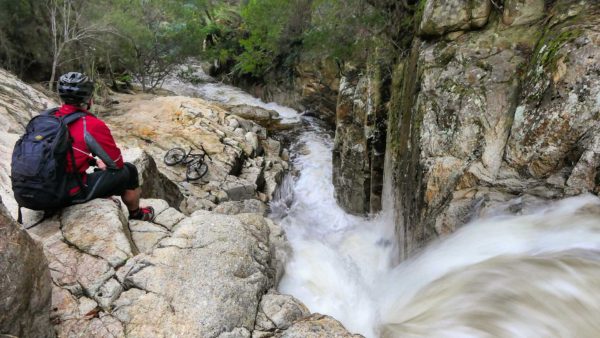 Read more about the article Tasty Trout Falls