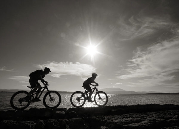 Read more about the article Tangara Trail