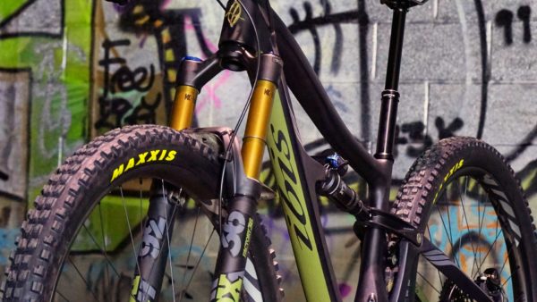 Read more about the article My Custom Ripmo Build