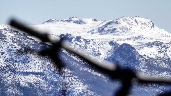 Read more about the article Winter Shreds