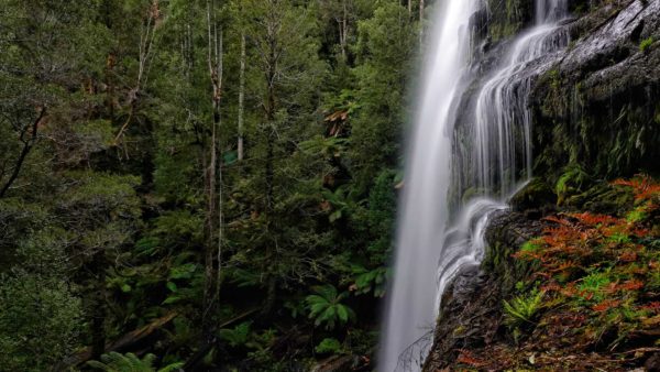 Read more about the article Marriotts Falls