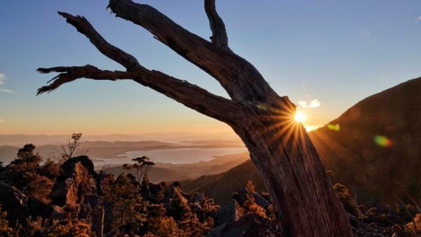 Read more about the article Happy New Year 2019