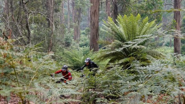 Read more about the article Lower Wilderness Trail
