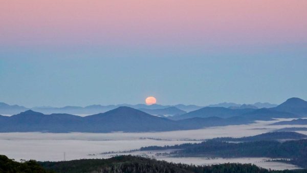 Read more about the article Golden Moonset