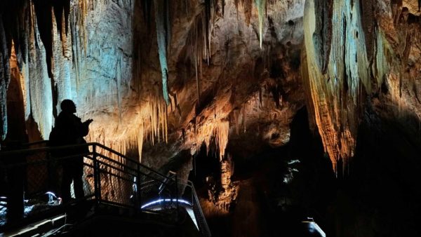 Read more about the article Hastings Caves