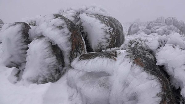 Read more about the article Rime Ice Wonderland
