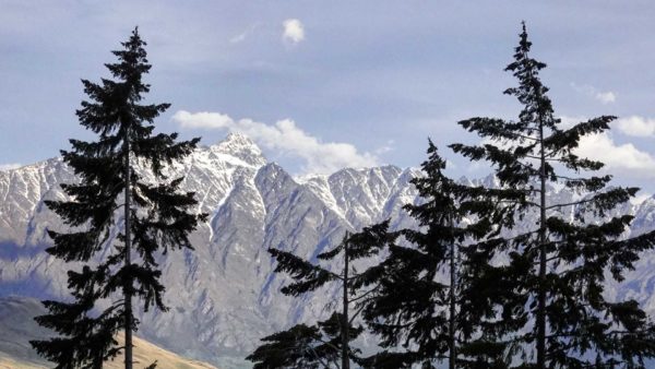 Read more about the article Skyline Queenstown
