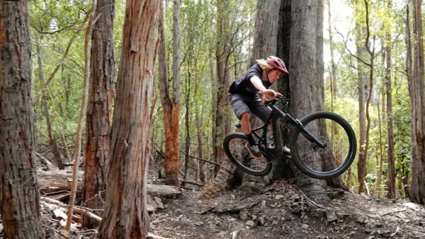 Read more about the article eMTB Steeze