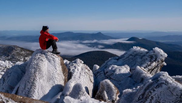 Read more about the article Snowstorm of the Year